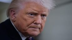 ترامب: يبدو أن حماس ستنزع سلاحها