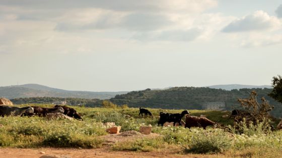 ارتفاع ملموس على الحرارة وأجواء ربيعية دافئة حتى نهاية الأسبوع