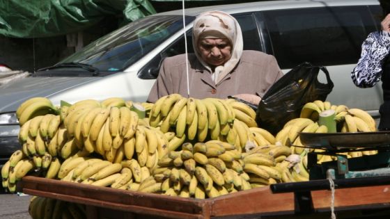 مزارعو الموز يشكون اغراق السوق بالمستورد
