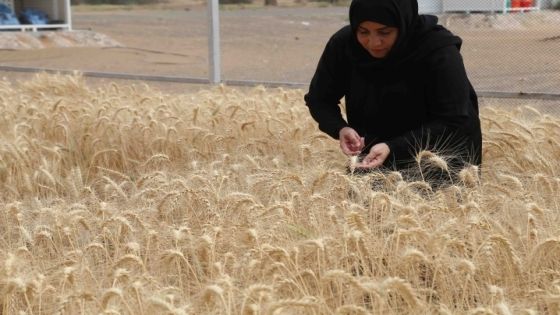 Fatimah Hassan Abdullah Al Hamdi poses during her interview at UAEU Farm Al Ain, March 26, 2019. Photo By Imran Khalid