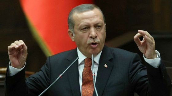 أردوغان يؤكد أن “كفاح” أذربيجان ضد أرمينيا لم ينته