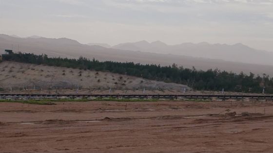 جبل الجبس في مجمع الفوسفات الصناعي بالعقبة… يكتسي حلّةً خضراء وينبض بالحياة