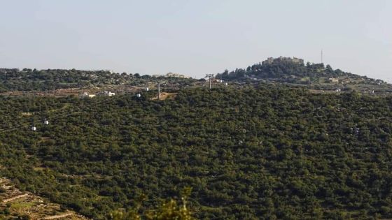 بدء تنفيذ مشروع متنزّه عجلون الوطني على مساحة تقارب 700 دونم