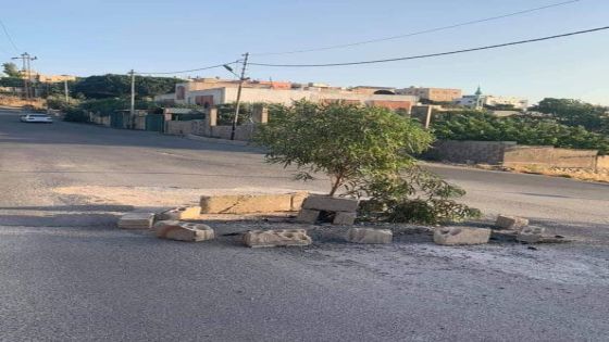 زراعة شجرة مكان حفرية بشارع رئيس في اربد لتحذير السائقين