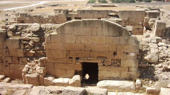 أبو دنة: اعتداءات وحفريات غير قانونية تهدد مواقع أثرية