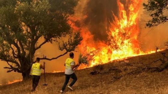 الاحتلال يطلب المساعدة الدولية لإخماد حرائق جبال القدس