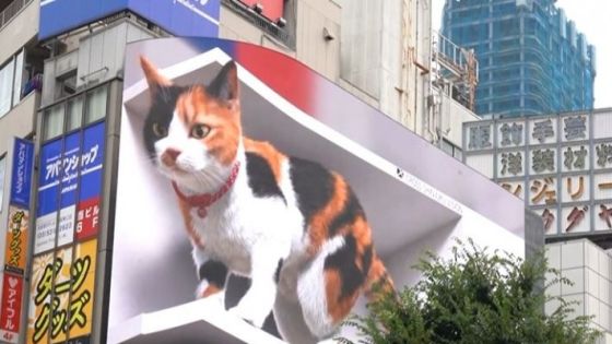 شاهدوا : قط ثلاثي الأبعاد يجذب الحشود في طوكيو