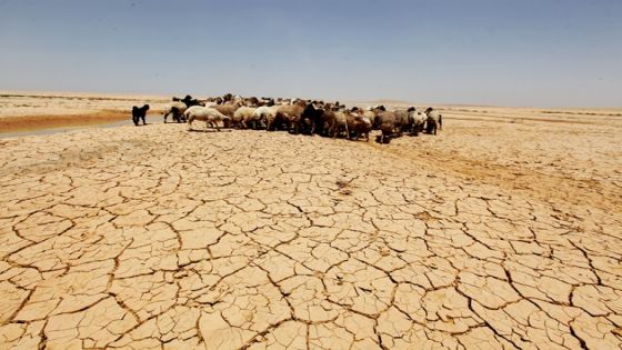 البنك الدولي: التغير المناخي سيشكل ضغطا كبيرا على الأمن الغذائي في الأردن