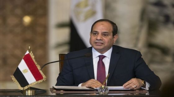 السيسي : 2011 كان إعلان وفاة الدولة المصرية