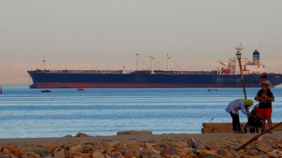 FILE PHOTO: People walk on the beach as a container ship crosses the Gulf of Suez towards the Red Sea before entering the Suez Canal, in El Ain El Sokhna in Suez, east of Cairo, Egypt April 24, 2017. Picture taken April 24, 2017. REUTERS/Amr Abdallah Dalsh//File Photo