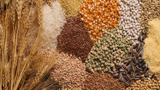 الطراونة : الأردني يستهلك 90 كيلوغرامً من القمح سنويًا