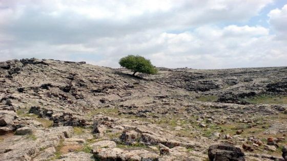 فرق الأمن تعثر على مفقود في الطفيلة منذ الثلاثاء