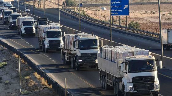 مستوطنون يهاجمون قافلة مساعدات أردنية متجهة إلى غزة