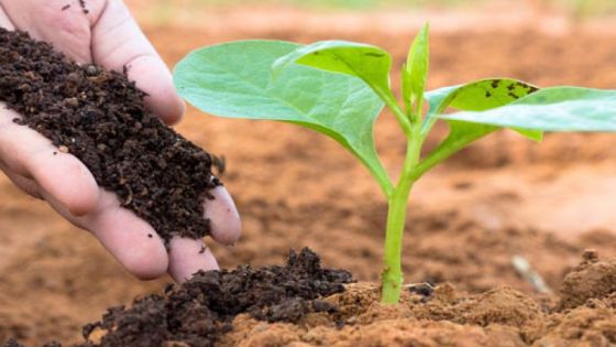 مليار دولار القيمة الإجمالية لإنتاج قطاع صناعة الأسمدة في الاردن