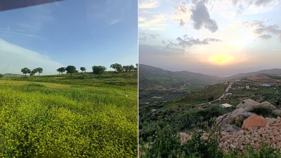 مرج زبيد وراجب …. بساط أخضر يعكس جمال عجلون