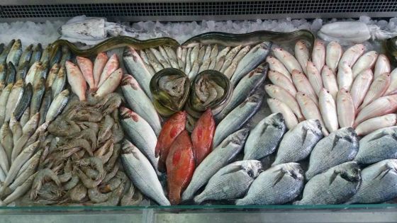 توجه لإنشاء سوق أسماك في عمّان