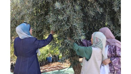 زراعة جرش تحتفي بيوم القطاف الوطني