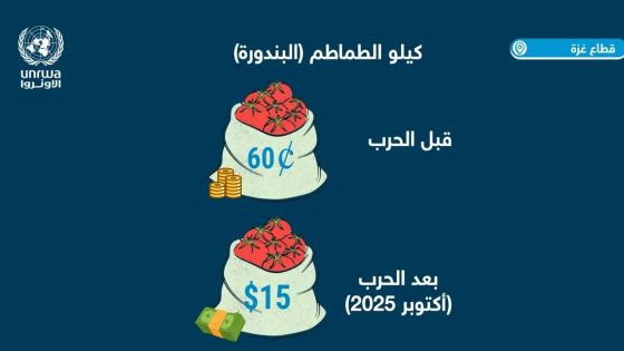 الأونروا: الفلسطينيون في غزة عاجزون عن تحمل تكاليف الطعام بعد الحرب