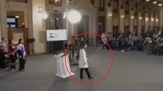 زلزال بقوة 6.5 درجة يضرب المكسيك وشينبوم تلغي مؤتمرها الصحفي