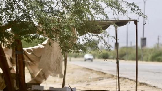 أجواء حارة إلى حارة جدا في كافة المناطق حتى السبت