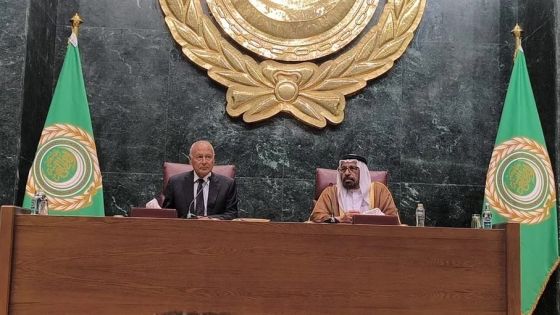 أبو الغيط: اتفاق عربي على وقف الحرب ورفض تصفية القضية الفلسطينية