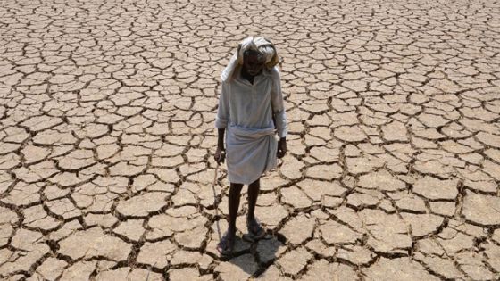 (FILES) This file photo taken on April 25, 2016 shows an Indian farmer posing in his dried up cotton field at Chandampet Mandal in Nalgonda, east of Hyderabad, in the southern Indian state of Telangana.
India's top court criticised the government on May 11 for failing to set up a disaster fund to help drought-hit farmers and villagers suffering crop losses and severe water shortages. / AFP PHOTO / Noah SEELAM