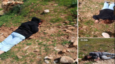 إصابة متضامنين أجنبيين في هجوم لمستوطنين على نابلس