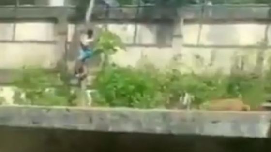 نهاية مأساوية لشاب برازيلي افترسته لبوة في حديقة حيوانات