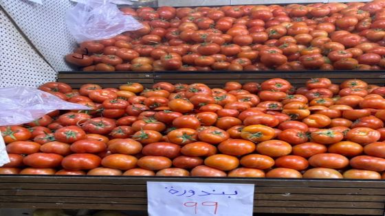 ارتفاع أسعار البندورة يثقل كاهل المواطنين في الأردن