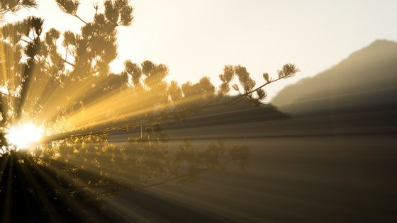 انا عتمتي تثير جدلا واسعا من قبل المعلمين في الأردن
