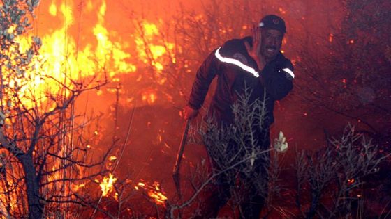 شاهدوا : إخوتي ماتوا..استغاثة جندي جزائري وسط حرائق الغابات تهز مشاعر العالم