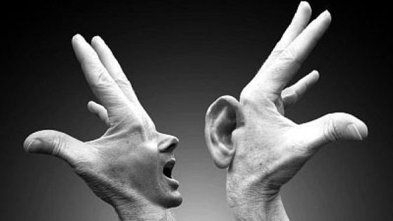   جمال الاختلاف بقلم … الكاتبة رجاء الحسن…الاردن … عمان