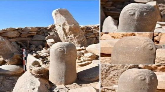 الأثار : استخدمنا مصطلح كبسولة لجذب الناس
