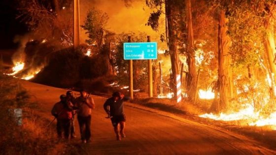 خسائر بشرية ومادية كبيرة جراء حرائق الغابات في تشيلي