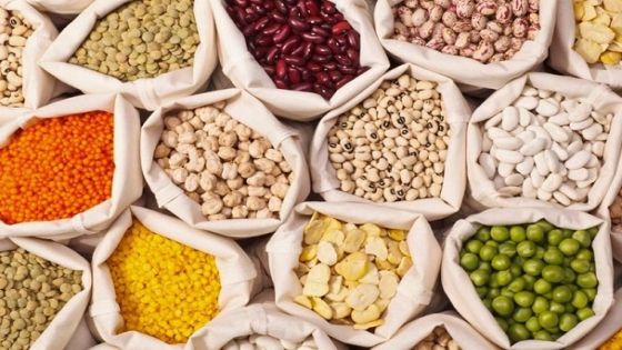 المغرب تبلغ الأردن بإجراءات طلبات تصدير المواد الغذائية الجديدة