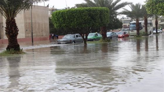 أمطار غزيرة وسيول في البادية الأردنية