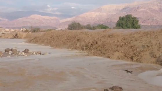 الأرصاد الجوية: غور الصافي حقق موسمه المطري كاملا