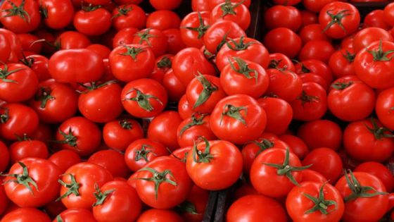 خريسات: افتتاح أول مصنع لرب البندورة في الأردن خلال شهر باستثمار 5 ملايين دينار