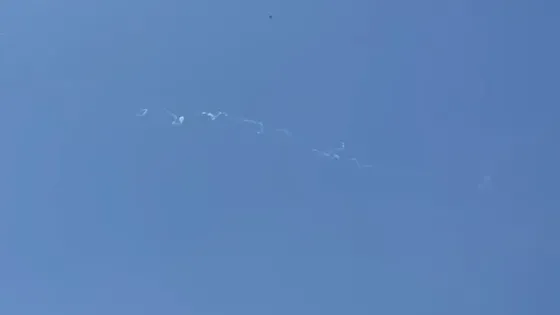 الحوثيون يعلنون استهداف مطار بن غوريون بصاروخ باليستي