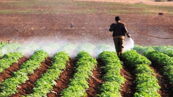 وزير الزراعة يلخص تحديات الأمن الغذائي في الأردن