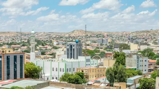 أرض الصومال يغري واشنطن.. بمعادنه وإقامة قواعد عسكرية