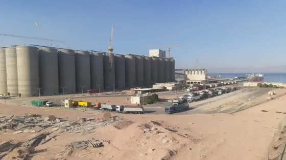 إحباط محاولة اختراق سيبراني لنظام صوامع القمح الأردنية