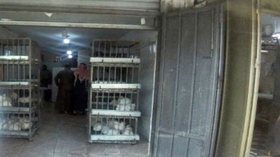 إغلاق النتافات يسبب أزمة دجاج في اربد وجرش