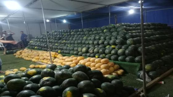 أمانة عمان تبدأ باستقبال طلبات منح تصاريح بيع البطيخ والشمام