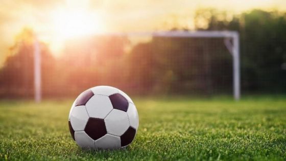 إقامة مباريات الجولة 18 من دوري المحترفين دون جمهور