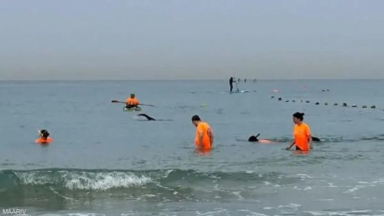 حتى في البحر.. إسرائيل تبحث عن الهاتف المفقود