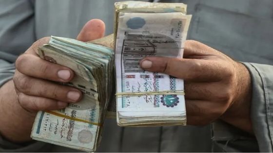 البنك المركزي المصري يرفع سعر الفائدة ويحدد سعر صرف الجنيه