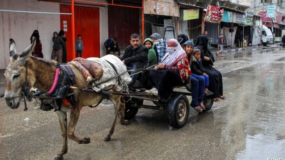 People flee the eastern parts of Rafah after the Israeli military began evacuating Palestinian civilians ahead of a threatened assault on the southern Gazan city, amid the ongoing conflict between Israel and Hamas, in Rafah, in the southern Gaza Strip May 6, 2024. REUTERS/Hatem Khaled