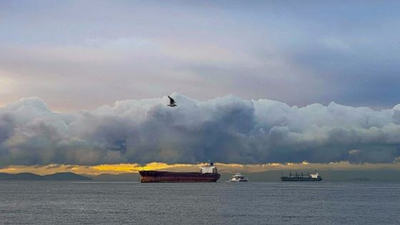 وزير الطاقة القطري: أسعار النفط قد ترتفع إلى 150 دولارا للبرميل