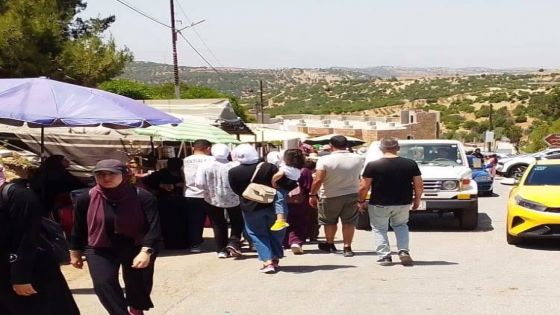 حركة سياحية نشطة وإشغال مرتفع في عجلون